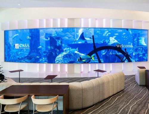 Consilio: An Elegant Brand Experience